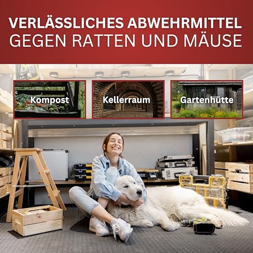 BIOFORMEL Mäuse Ex Spray Plus 5L – Effektive Mäuse- & Rattenabwehr für Innen & Außen – Geraniol Wirkung!