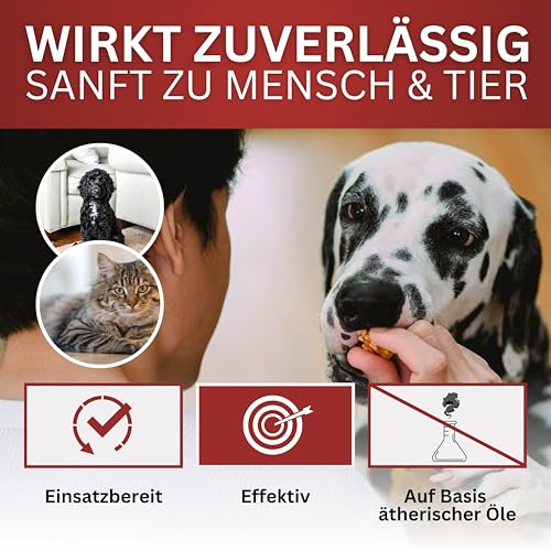 BIOFORMEL Mäuse Ex Spray Plus 5L – Effektive Mäuse- & Rattenabwehr für Innen & Außen – Geraniol Wirkung!